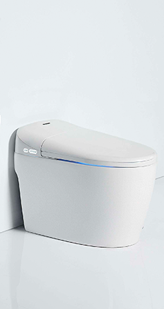 Smart Toilet