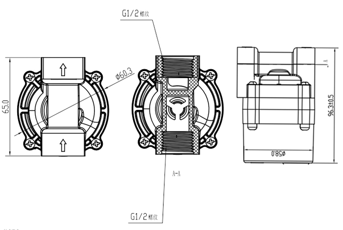 D5 pump,water tank pump